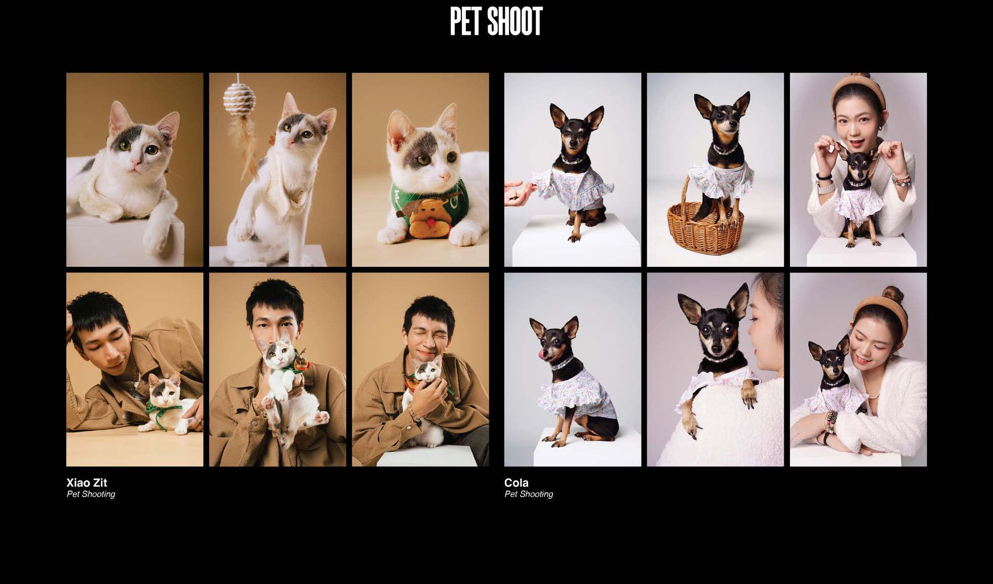Pet shoot